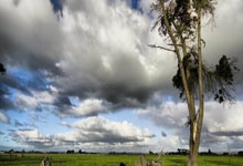 [英超]状态正佳 福登外围世界波洞穿球门.