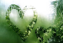 LPL最强全华班失去血性！涅槃打野口碑崩塌：以一己之力带崩全队.